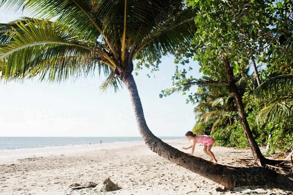 Young girls climbing up the trunk of a palm tree - Australian Stock Image