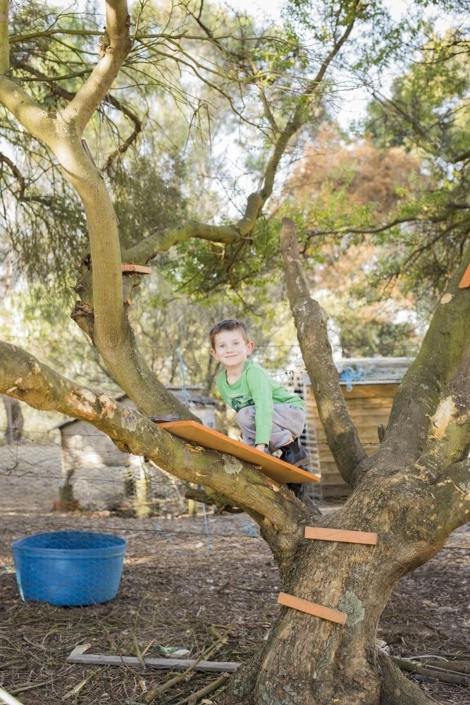 Young happy boy climbing up a tree in backyard - Australian Stock Image