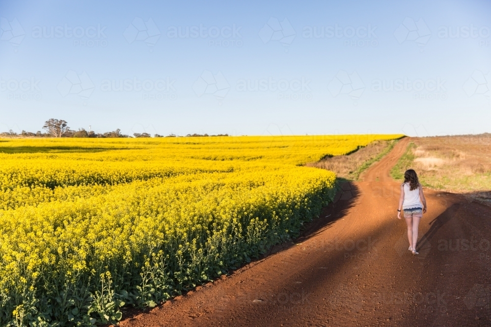Young lady walking down dirt track on farm looking at field of canola crop - Australian Stock Image