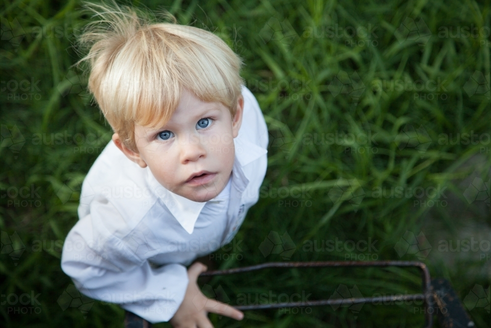 Young little boy looking up with dark copy space green grassy backdrop - Australian Stock Image