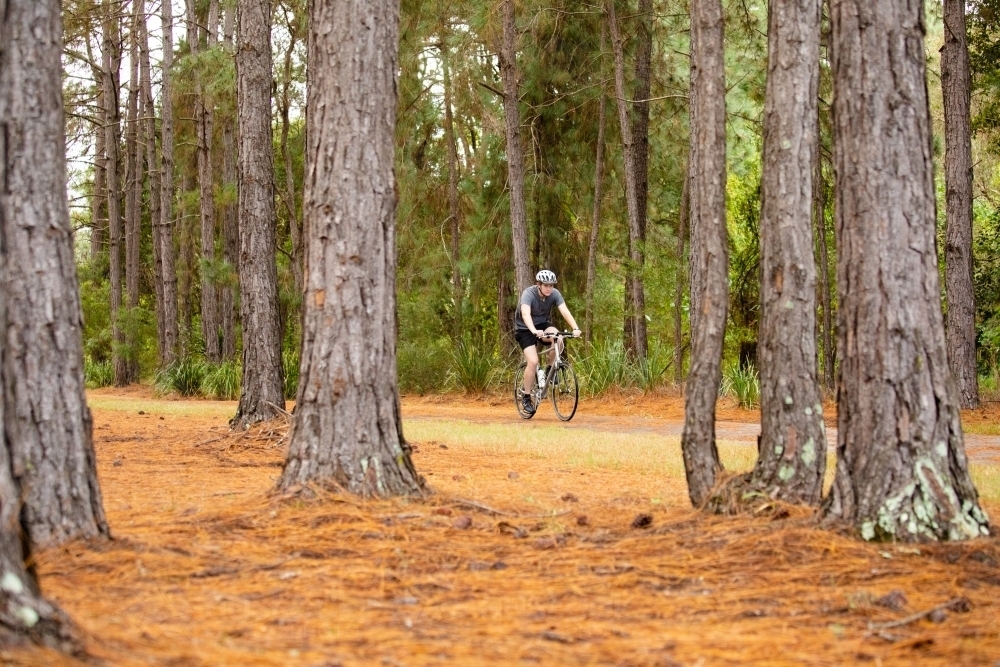 Young male cycling along a parkland bike path - Australian Stock Image