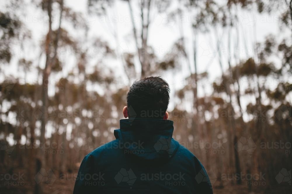 Young male walking in the bush from behind - Australian Stock Image