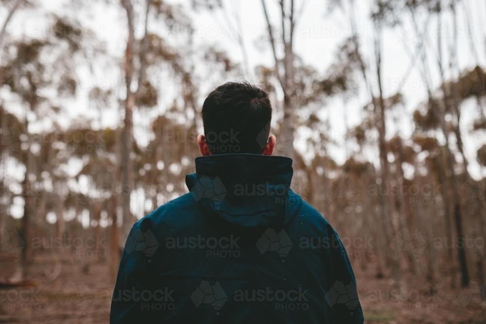 Young male walking in the bush from behind - Australian Stock Image