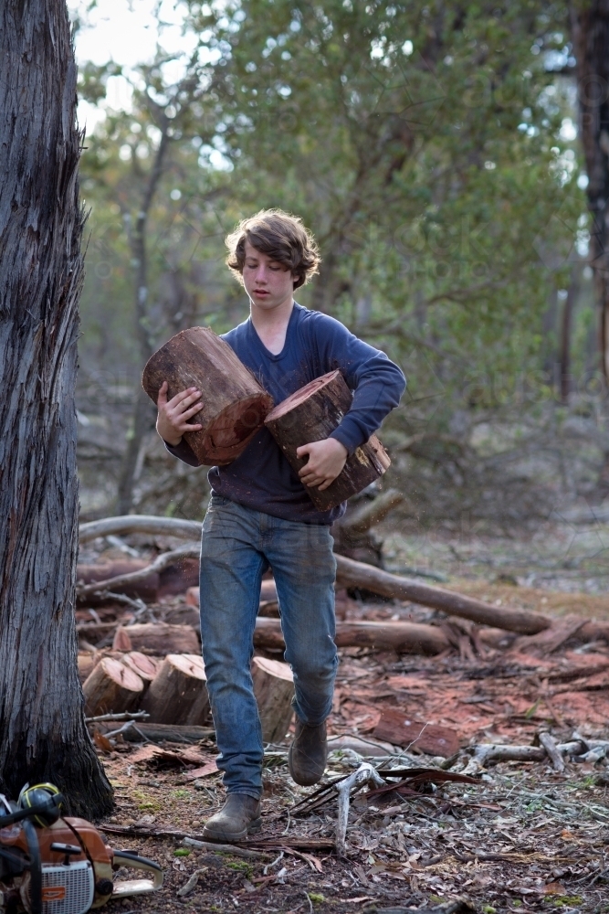 Young man carrying logs for firewood - Australian Stock Image