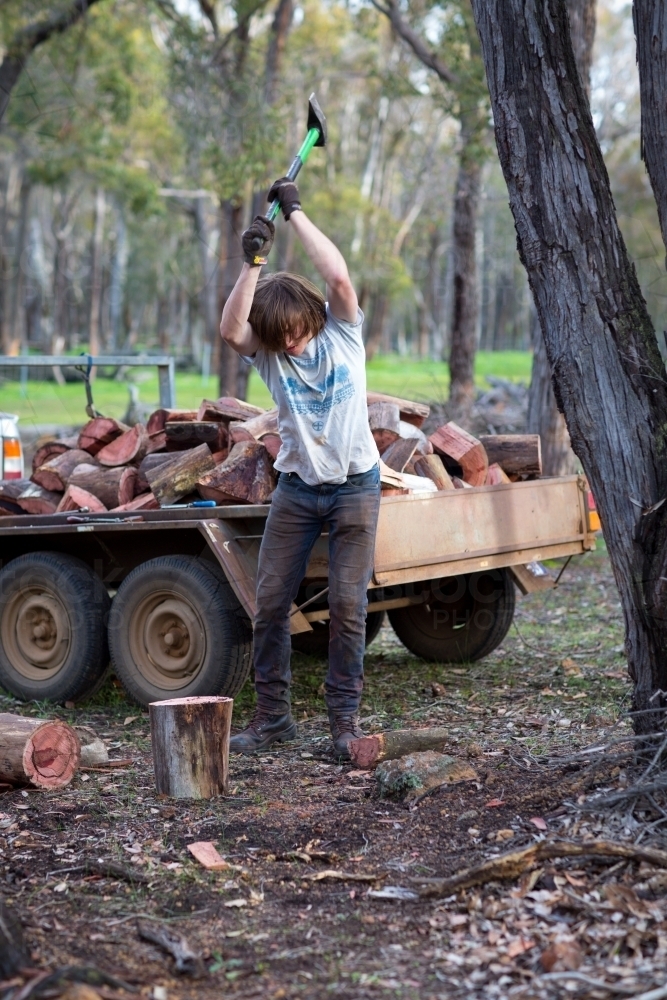 Young man chopping logs for firewood - Australian Stock Image