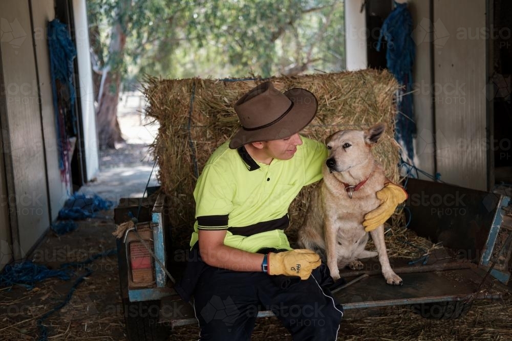 Young man with an Australian Cattle Dog - Australian Stock Image