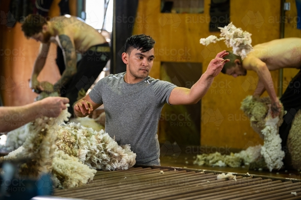 Young Maori man wool classing in shearing shed - Australian Stock Image