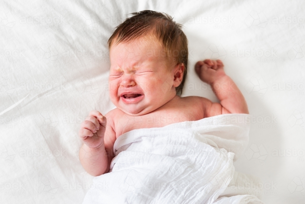 Young newborn baby crying on white - Australian Stock Image
