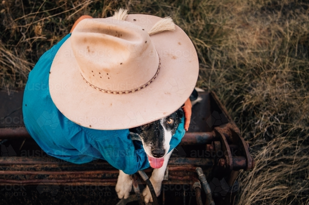 Young person wearing hat hugging his dog - Australian Stock Image
