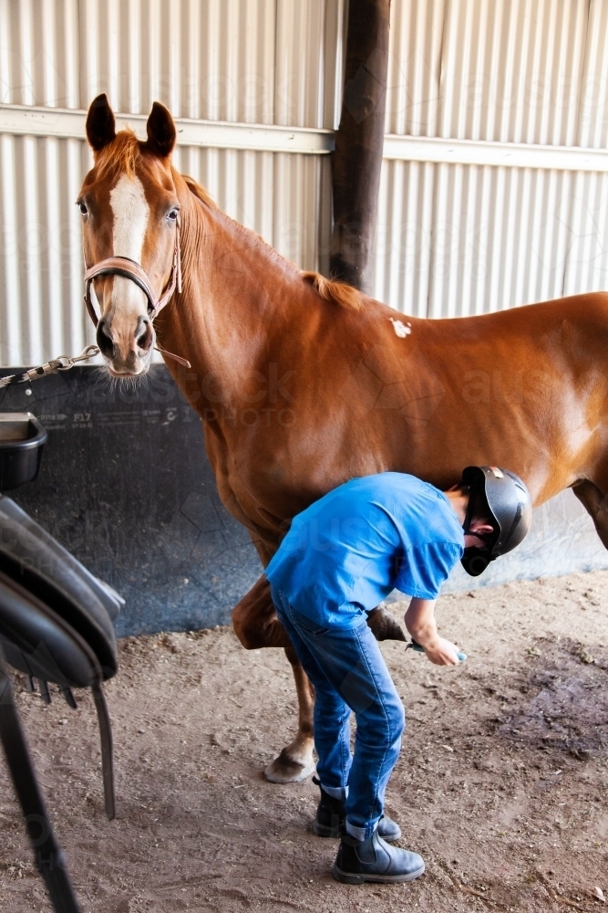 Young rider using hoof pick to clean out horses feet during riding lesson - Australian Stock Image