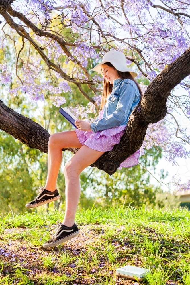Young teen girl in summer reading a book in the park while sitting a tree branch - Australian Stock Image
