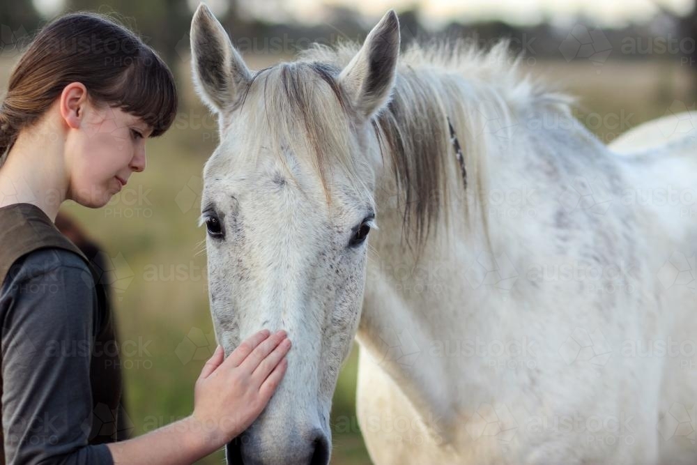 Young teen girl patting a grey horse - Australian Stock Image