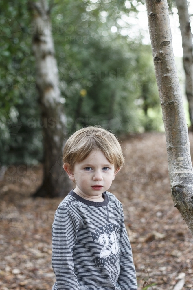 Young toddler boy amongst trees - Australian Stock Image