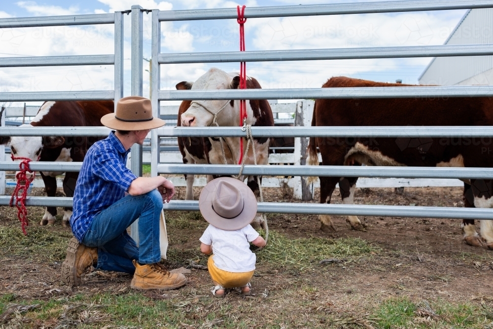 Young uncle with his niece looking at the cattle at agricultural show - Australian Stock Image