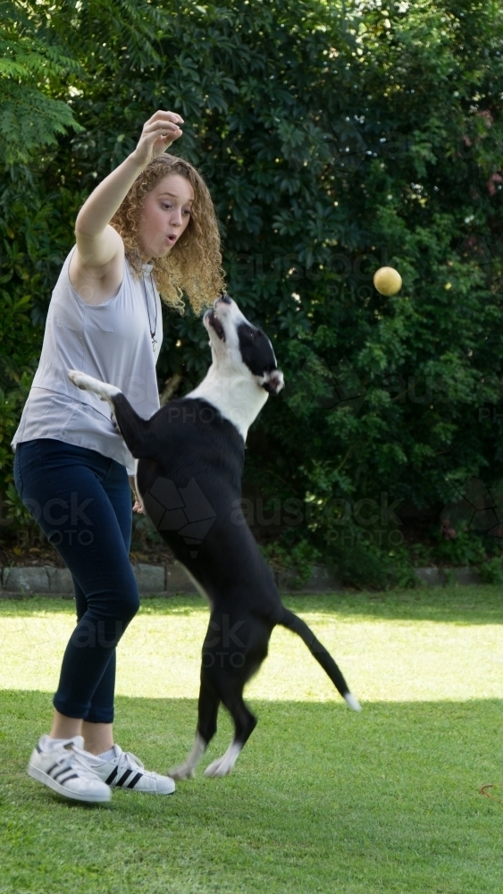 Young woman bouncing ball with dog - Australian Stock Image