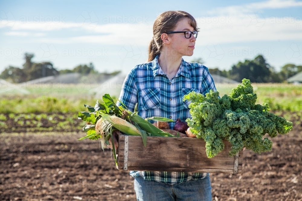 Young woman holding box of vegetables grown in farm paddock - Australian Stock Image