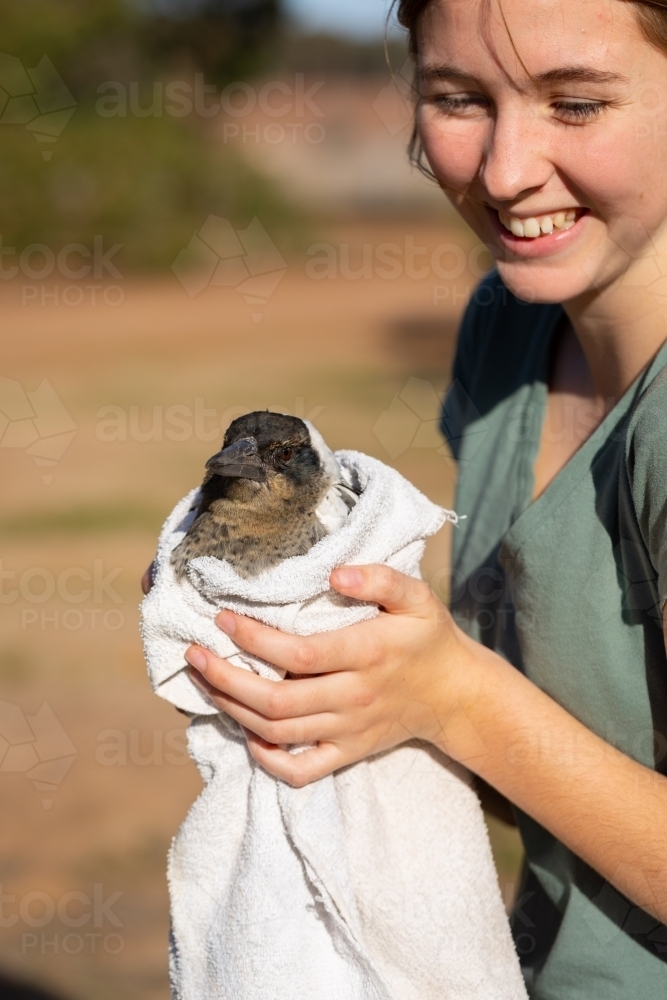 young woman holding injured bird in old towel - Australian Stock Image