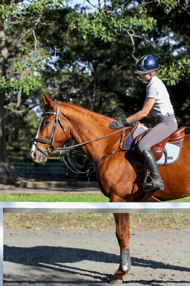 Young woman horse riding in park - Australian Stock Image