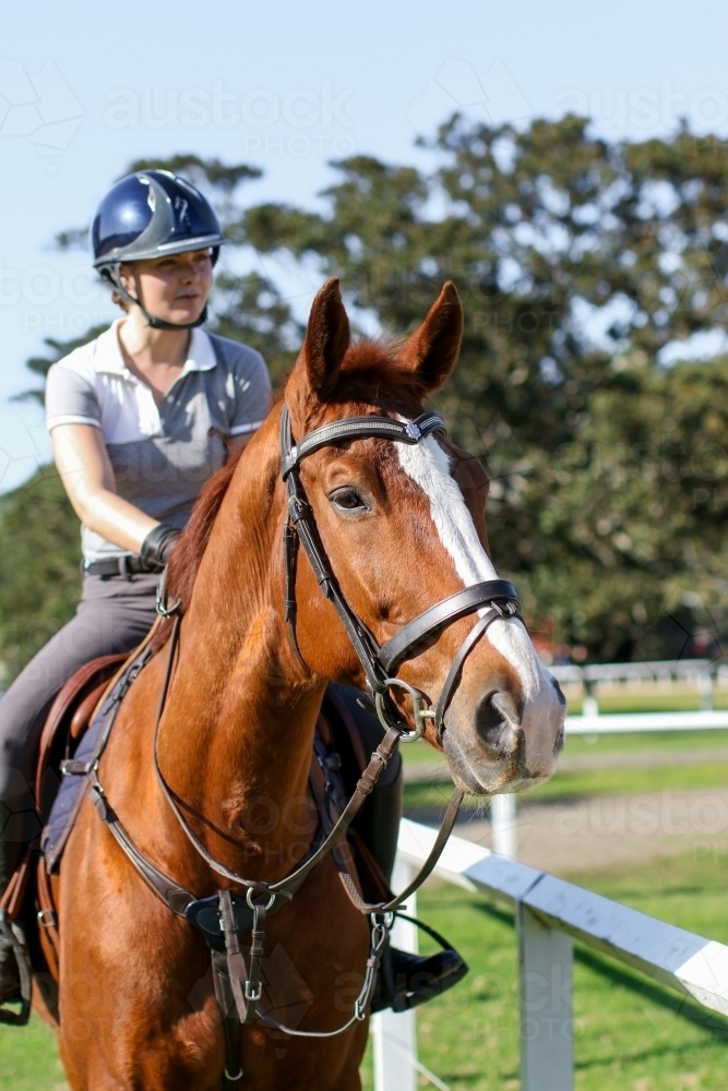 Young woman horse riding in park - Australian Stock Image