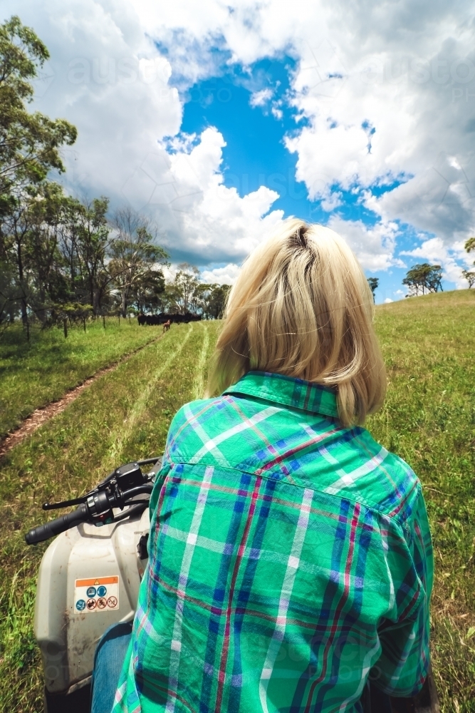 Young woman sitting on stationary quad bike watching dogs mustering cattle - Australian Stock Image
