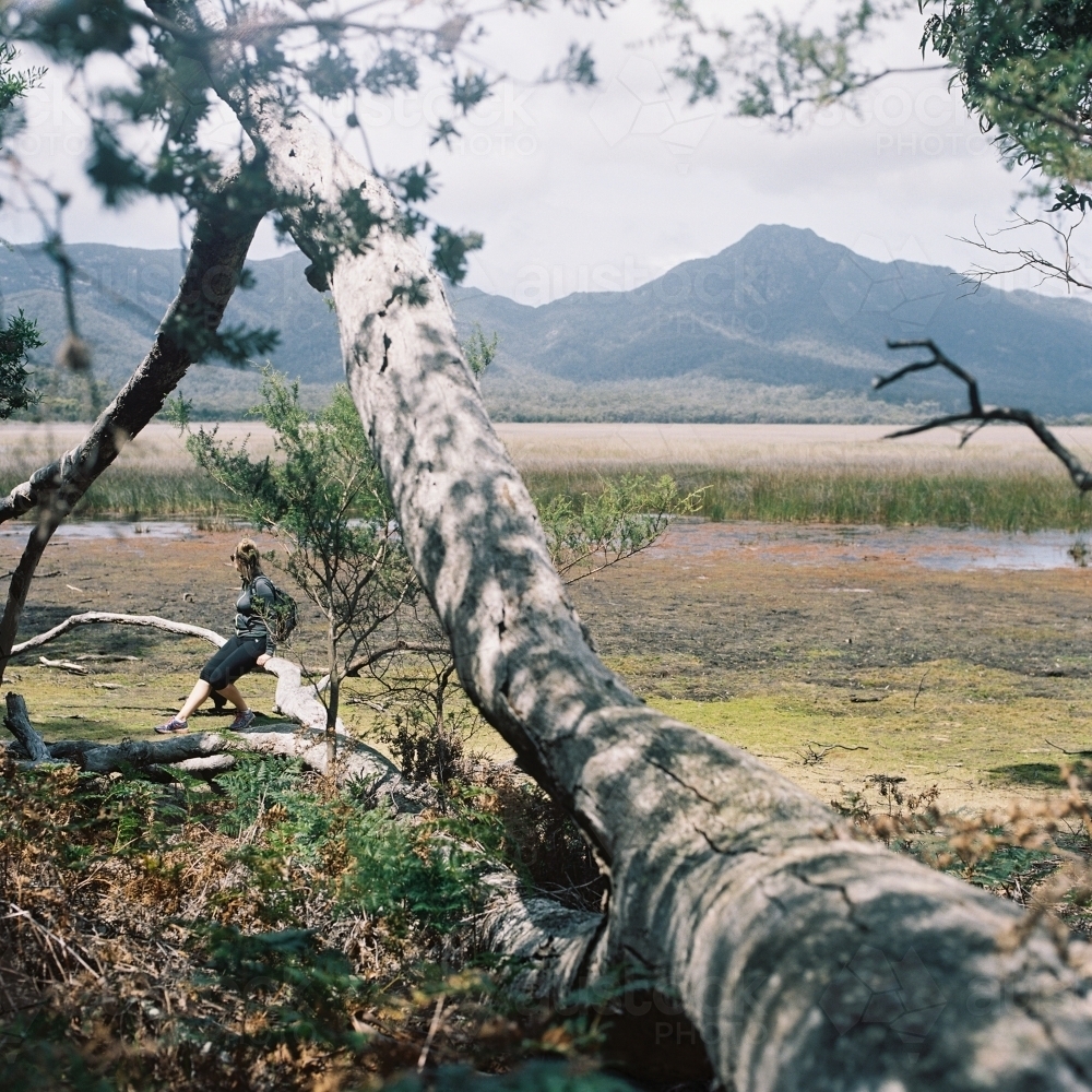 Young Woman Taking a Rest from Bushwalking - Australian Stock Image