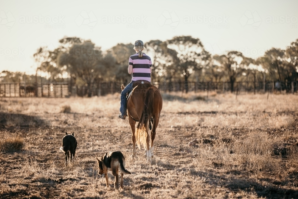 Young woman wearing stripes horse back riding with dogs - Australian Stock Image
