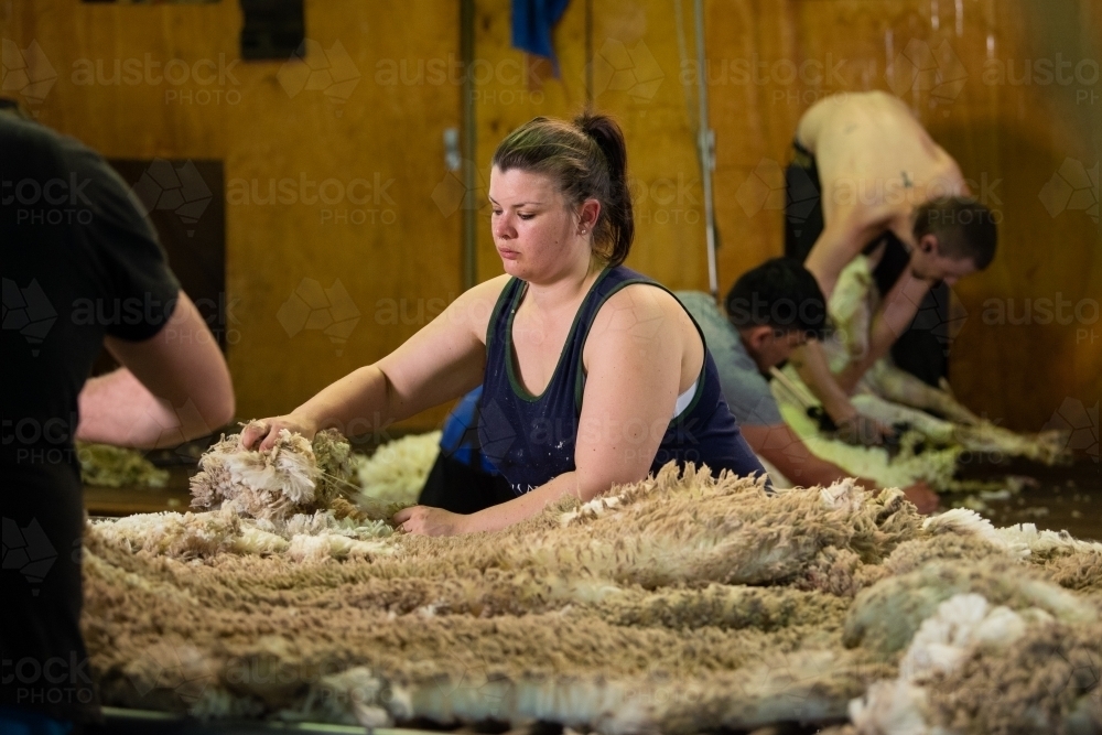 Young woman wool classing in shearing shed - Australian Stock Image