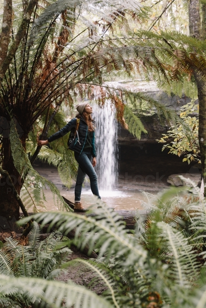 Young women bushwalking in temperate rainforest amongst ferns - Australian Stock Image