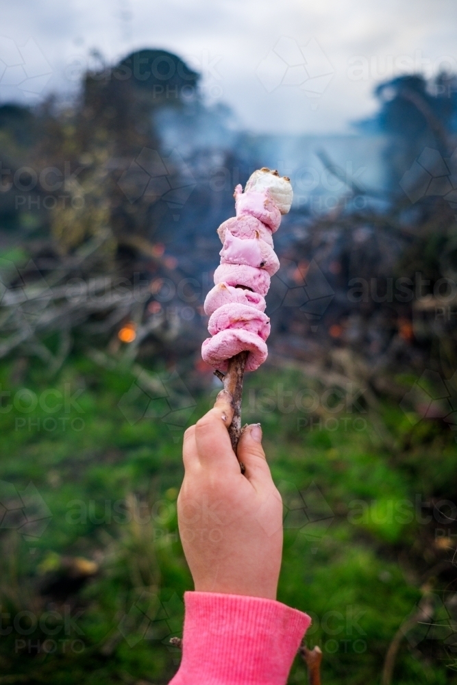 Yummy toasted marshmallows by the bonfire - Australian Stock Image