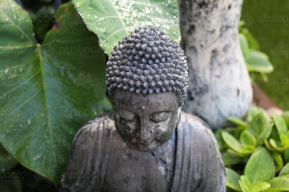 Zen buddhist statue in garden - Australian Stock Image