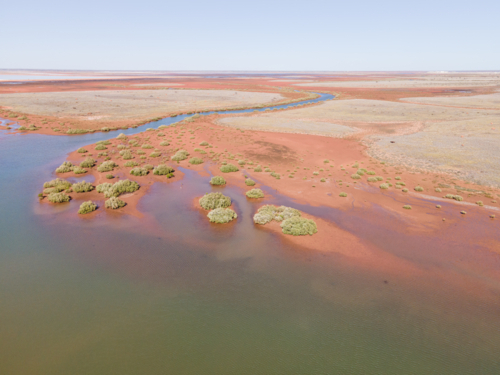 4 mile creek, Onslow, aerial view of red dirt and mangroves - Australian Stock Image