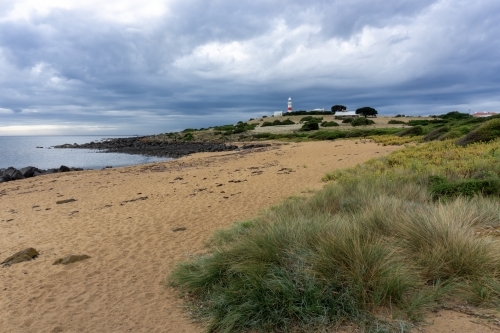 A beach with grasses and a lighthouse in the background
