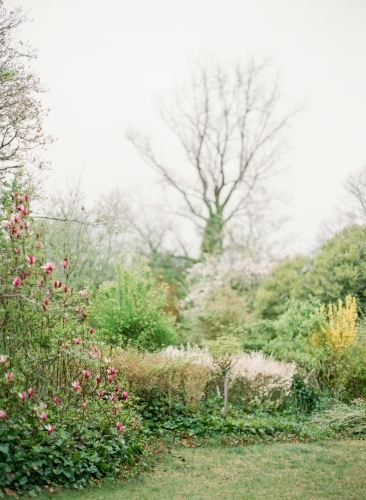 A beautiful and lush gardens in spring - Australian Stock Image