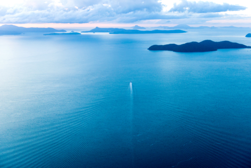 A boat leaves a long white wake across calm blue water at dusk - Australian Stock Image