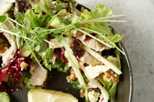 A bowl of green salad - Australian Stock Image
