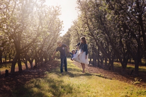 A Boy And Girl Swinging Their Little Sister In An Orchard