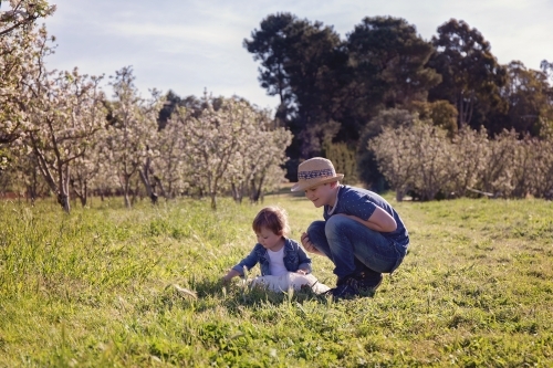A Boy Crouching And Playing With His Little Sister In An Orchard - Australian Stock Image