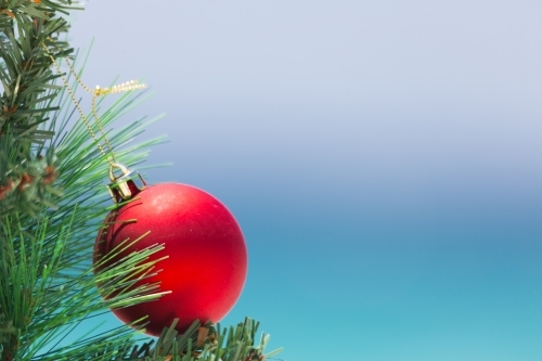 A bright red Christmas bauble hangs on a tree with a beautiful blue sky and ocean backdrop