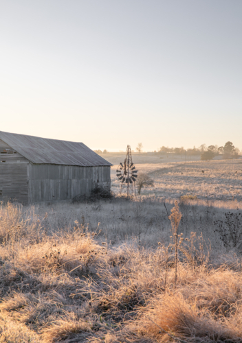 A broken windmill, an old shed and a winter's morning - Australian Stock Image