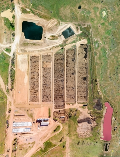 A cattle feedlot in Queensland. - Australian Stock Image