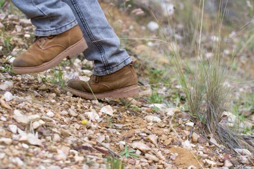 A child bush walking. - Australian Stock Image