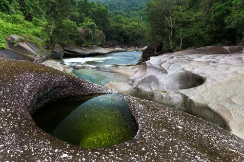 A clear emerald pool beside a river edged by lush tropical trees in a rainforest scene