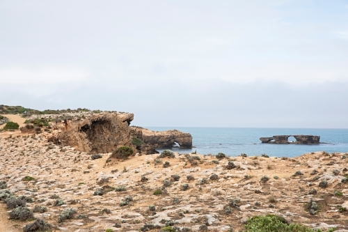 a cliffside bordered by low-lying shrubs and grass - Australian Stock Image