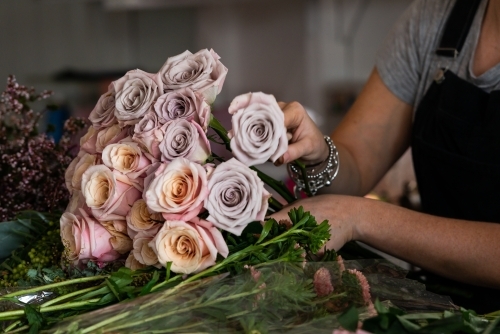 A close up of a person arranging a beautiful bunch of roses - Australian Stock Image