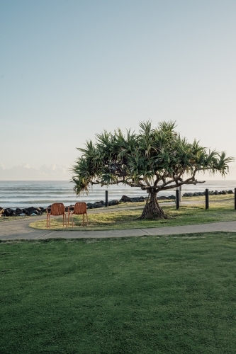 A coastal view with two empty chairs under a large leafy tree in a grassy field - Australian Stock Image