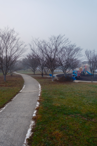 A Cold Foggy Morning in the Suburbs with a Play ground - Australian Stock Image