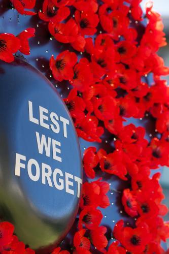 A collection of red memorial poppies - Australian Stock Image