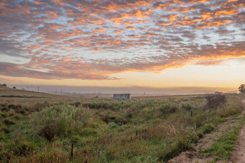 A colourful dawn sky over a country field - Australian Stock Image