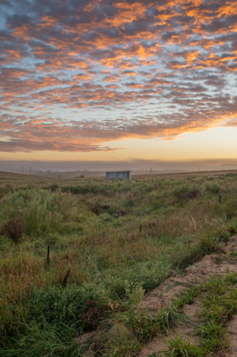 A colourful dawn sky over a country field - Australian Stock Image