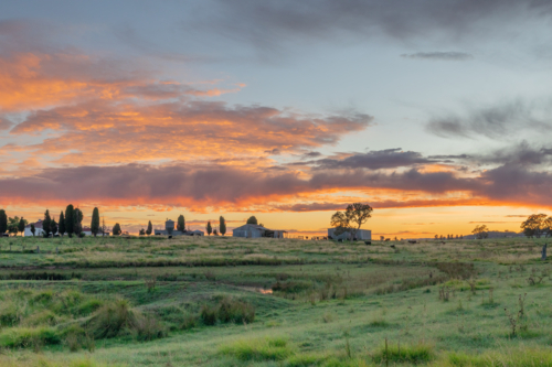 A colourful dawn sky, with a green paddock and the silhouette of farm buildings - Australian Stock Image